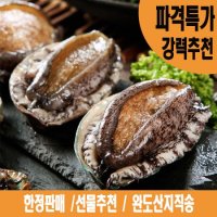 해신수산 완도활전복 18-20미 1kg