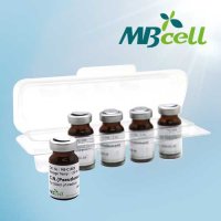 D-cycloserine Solution