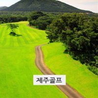 스카이힐(대)+에버리스+골프텔/제주엘리시안골프텔 엘리시안시즌권 엘리시안스키장