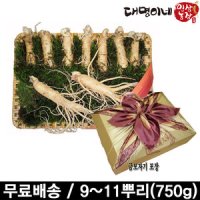 수삼선물세트 9 11뿌리 750g