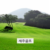 2018년제주도골프 최대 할인 이벤트 사이트(해비치+스프링데일+골프텔) 제주에코랜드/ 제주 코코몽에코파크, 제주 휴애리, 제주연합렌트카 관광지 티켓