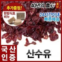 말린 산수유300g 산동농협(씨제거) 건산수유 산수유차