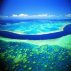 오세아니아 여행 호텔 패키지 6박8일 호주 해외 관광 뉴질랜드 패키지여행 북섬 와이토모동굴