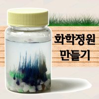 화학정원 만들기[5명1세트] - 반투막 / 삼투압