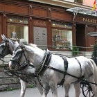 하나투어 동유럽여행호텔팩 폴란드 패키지 여행 상품모음 일정비교