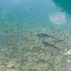 하나투어 여행사폴란드 패키지 여행 상품모음 알뜰상품