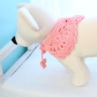 DIY 동영상 패키지 강아지 고양이 케이프 2 3개 완성가능 손뜨개 뜨개질