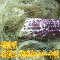 초록사랑 잘말린 홍천옥수수수염 옥수수수염차  1개  100g