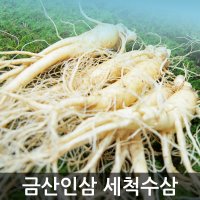 고려인삼 세척 수삼 6 4 년근 인삼홍삼 파삼 난발삼