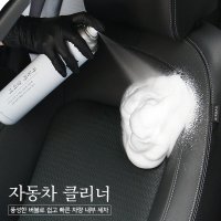 청소신 자동차 클리너 차량 카시트 가죽 찌든때 얼룩제거 내부 클리닝 실내청소 셀프 세차