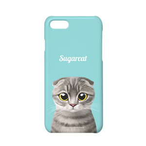 스코티시 폴드 (Scottish Fold Cat)