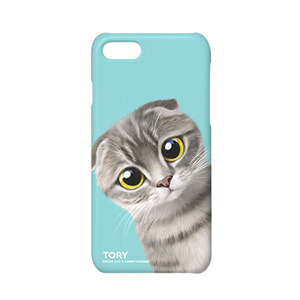 스코티시 폴드 (Scottish Fold Cat)