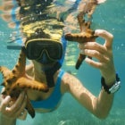 몰디브패키지여행 7일 워터빌라 하나투어관광 방갈로 몰디브여행 4박5일 프로모션