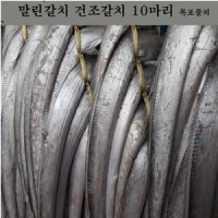 말린갈치 반건조갈치10마리 목포풀치