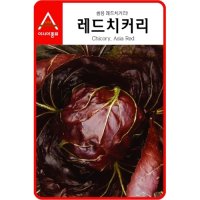 아시아종묘 치커리종자씨앗 레드치커리-적쌈이(1500립)