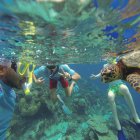 몰디브패키지여행 대박특전 4박7일 하나투어 관광 전문여행사 몰디브여행 비수기 프로모션