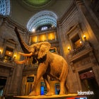 미동부 캐나다 핵심관광 여행 미국패키지여행 알뜰상품 모두투어 패키지