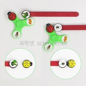 무당벌레먹이사슬 (5인용)