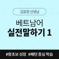 [베트남어인강] 베트남어 실전말하기 1