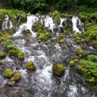 북해도여행 홋카이도 모두투어 일정 5성급호텔 일본패키지여행 히트상품 엔화 2019년