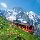 스위스일주 일정 투어 상품모음 한나라일주 휴양지 스위스패키지여행