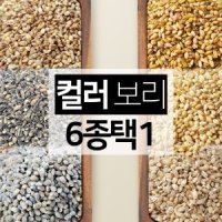 흑보리 청보리 자색보리 늘보리 찰보리 쌀 컬러보리 모음