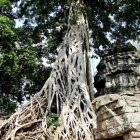 캄보디아 패키지 하나투어패키지 의기적 세미팩 자유여행 시내관광 4박6일 여행지