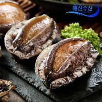 해신수산 완도활전복 大 12-13미 1kg