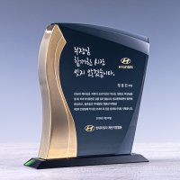 감사패 상패 정년퇴직 퇴임 공로패 기념패 제작 DK701