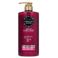 엘라스틴 카멜리아 블랙 딥 리페어 트리트먼트 1000ml