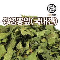 대흥한방 상엽(뽕잎) 600g 국내산  1개