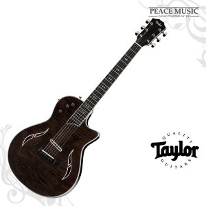 TAYLOR 테일러기타 T5z Pro-Gaslamp Black ES 픽업