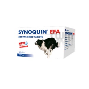 (DOG)벳플러스 사이노퀸 중형견용 SYNOQUIN EFA 중형견용관절영양제(30정)