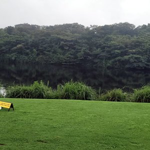 제주도가족여행 리벤시아 벤츠SLK컨버터블(2인승) 비행기표 광주공항티웨이
