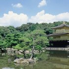 2박3일 일본 패키지 여행 즐거운 설명절 오사카교토고베 핵심관광 3일 필수관광지