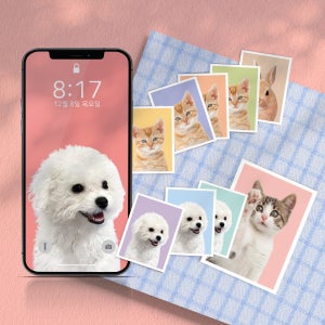 1+1(2set)반려동물 증명사진❤️강아지 고양이 증사, 새봄문방구