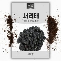 서리태 (30g)