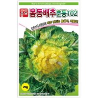 아시아종묘 배추씨앗종자 봄동배추-춘동102 (20g,500g) 월동배추씨앗