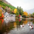 홈쇼핑 일본 패키지여행 2박3일 하나투어 휴양 맛있는 일본여행