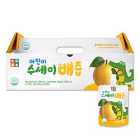 순수식품 어린이 수세미 배즙 100ml x 30포