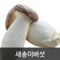 약수농장 새송이버섯 2kg  1박스