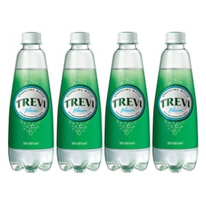 트레비 플레인 500ml 20펫