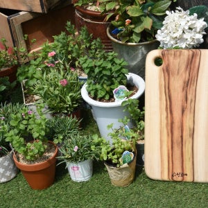 편백 캄포 월넛 나무 가정의달선물 신현공예 라운딩도마, 신현공예