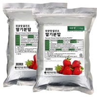 딸기가루 1kg 딸기분말 딸기파우더