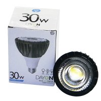 데이온 LED PAR30 30W (집중형)