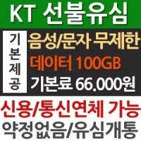 KT선불유심/요금제개통/선불심카드/데이터무제한/본인인증/외국인 개통