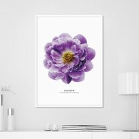 위드포스터 블로썸 모란 꽃 그림 액자 A3 포스터