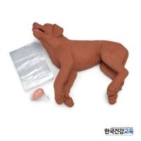 강아지 심폐소생술 마네킹 DOG COR 모형