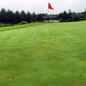 제주항공권패키지 노인과 바다 LF소나타뉴라이즈 김포공항에서제주도항공권 전주렌트카