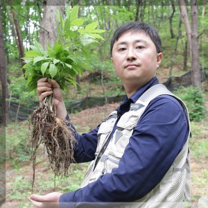 인삼 최저가 가성비상품